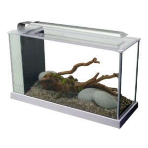 Fluval Spec Nano-Aquarium 5 Weiß