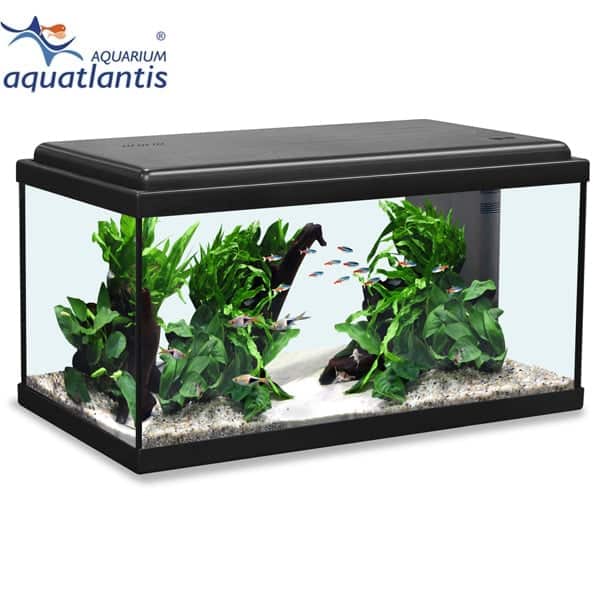 Aquatlantis Aquarium Advance LED 60 schwarz