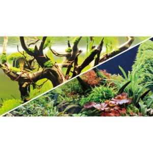 Hobby Aquarium Fotorückwand Secret / Island 60x30 cm