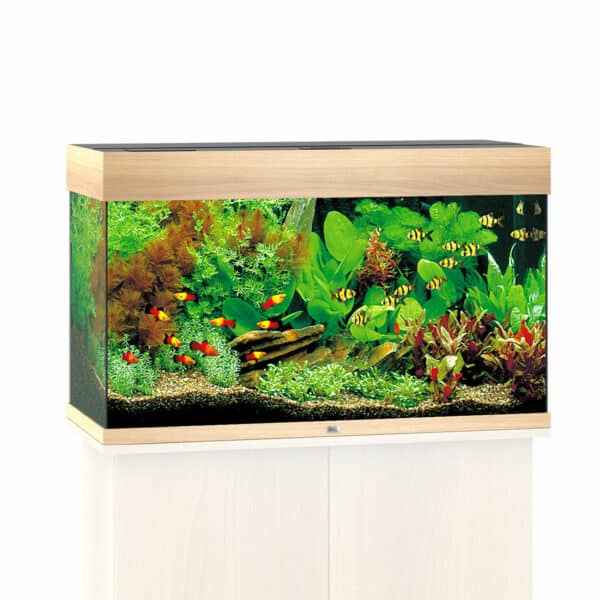 Juwel Rio 125 LED Komplett Aquarium ohne Schrank helles holz
