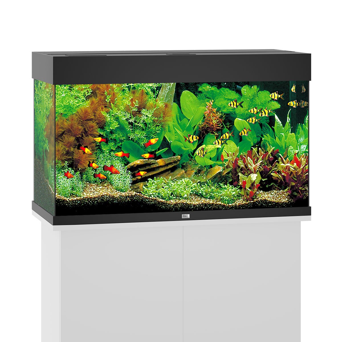 Juwel Rio 125 LED Komplett Aquarium ohne Schrank schwarz