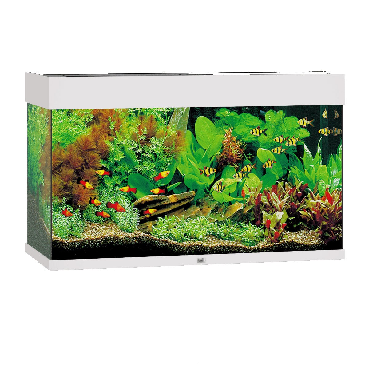 Juwel Rio 125 LED Komplett Aquarium ohne Schrank weiß