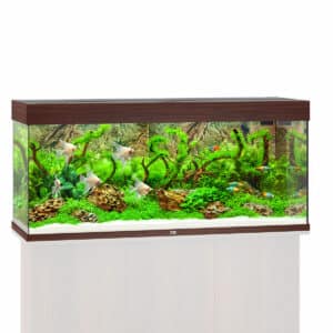Juwel Rio 240 LED Komplett Aquarium ohne Schrank dunkles holz