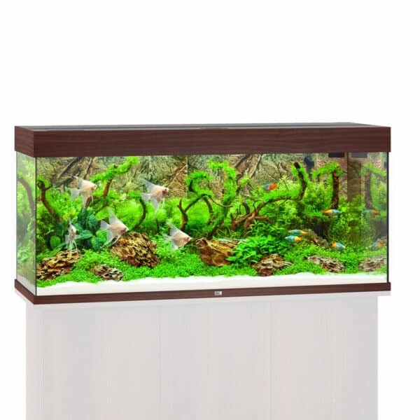 Juwel Rio 240 LED Komplett Aquarium ohne Schrank dunkles holz