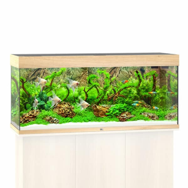 Juwel Rio 240 LED Komplett Aquarium ohne Schrank helles holz