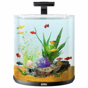 Tetra AquaArt Explorer Line Halfmoon Komplett-Set 60l anthrazit